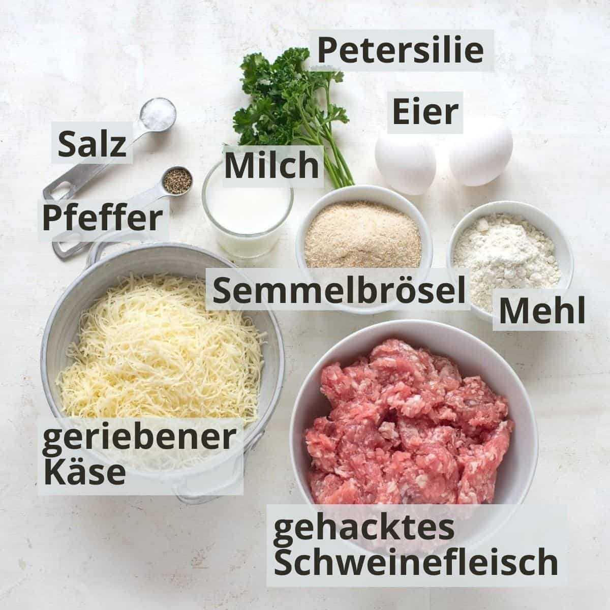 Holländische Schnitzel, Zutaten mit Beschriftung.